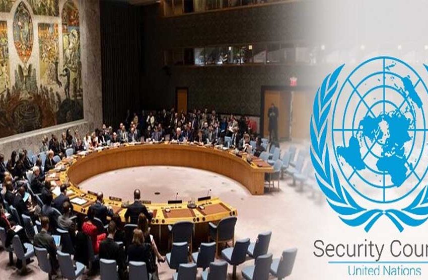  यूएन में भारत ने कहा एक प्रतिनिधिमंडल गलत सूचना और दुष्प्रचार फैलाने की रणनीति के आधार पर शरारती उकसावे में शामिल