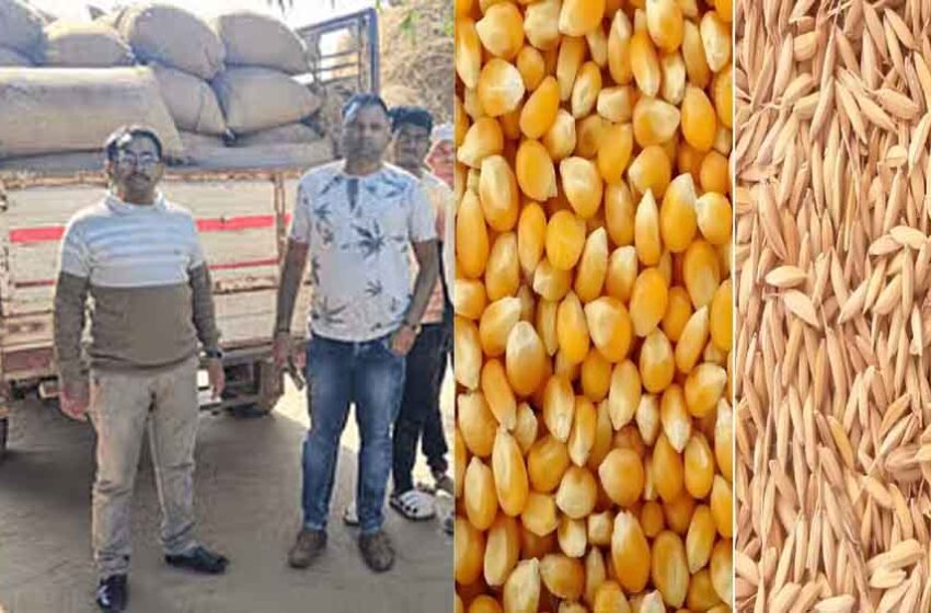  छत्तीसगढ़-कोंडागांव में अवैध परिवहन करते 364 क्विंटल धान और मक्का जब्त