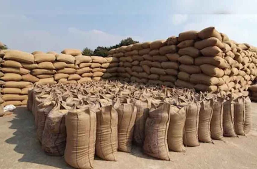  छत्तीसगढ़ में 8.95 लाख मीट्रिक टन धान खरीदी कर 1575.16 करोड़ रुपये का किसानों को भुगतान