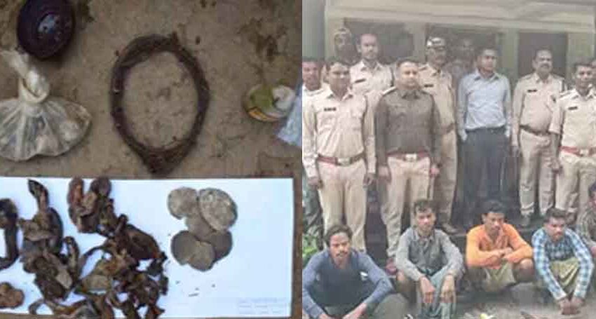  छत्तीसगढ़-बलौदाबाजार में जंगली जानवरों का शिकार करते हुए पांच शिकारी गिरफ्तार