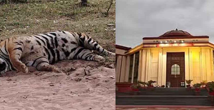  छत्तीसगढ़-बिलासपुर हाईकोर्ट बोली-‘वन्य जीव और पर्यावरण भी नष्ट हो रहा, अब बचा क्या है?’