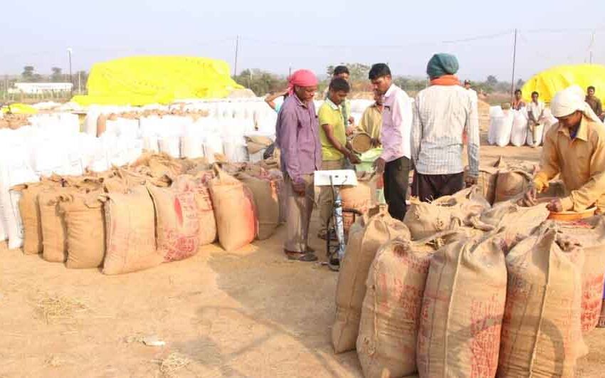  छत्तीसगढ़ में ट्रायल रन पूराकर 14 नवंबर से होगी धान खरीदी