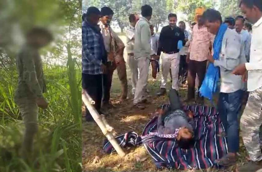  छत्तीसगढ़-कवर्धा में पेड़ पर लटकी मिली युवक की लाश