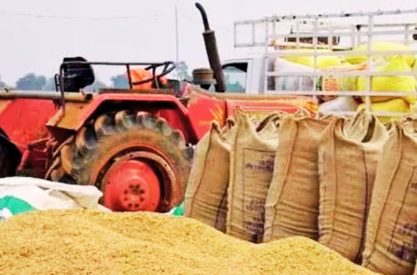  मध्य प्रदेश में आज से न्यूनतम समर्थन मूल्य पर धान का उपार्जन 1,412 केंद्रों पर होगा
