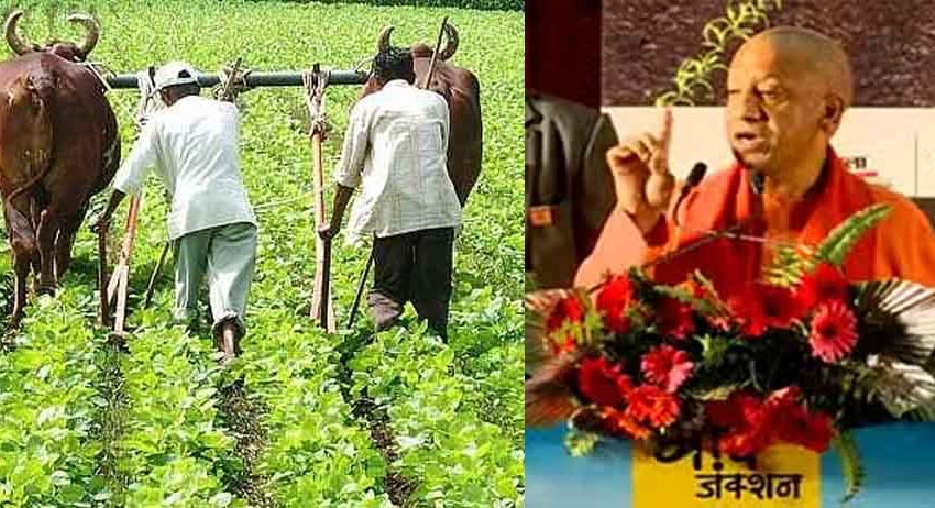  प्रगतिशील किसानों के सम्मान में बोले विशेषज्ञ-‘उर्वरा शक्ति बढ़ाने पर जोर दें किसान’