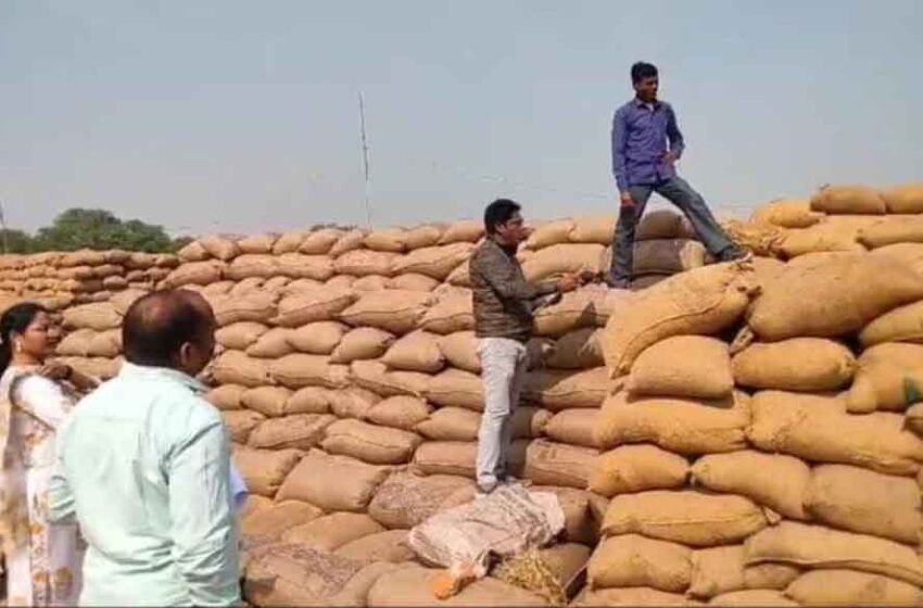  छत्तीसगढ़-145 लाख मीट्रिक टन धान खरीदी कर 29 हजार 599 करोड़ रूपए का किया भुगतान