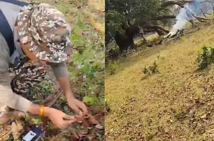  छत्तीसगढ़-जगदलपुर में सुरक्षाबलों को नुकसान पहुंचाने लगाया पांच किलो का प्रेशर आईईडी किया डिफ्यूज