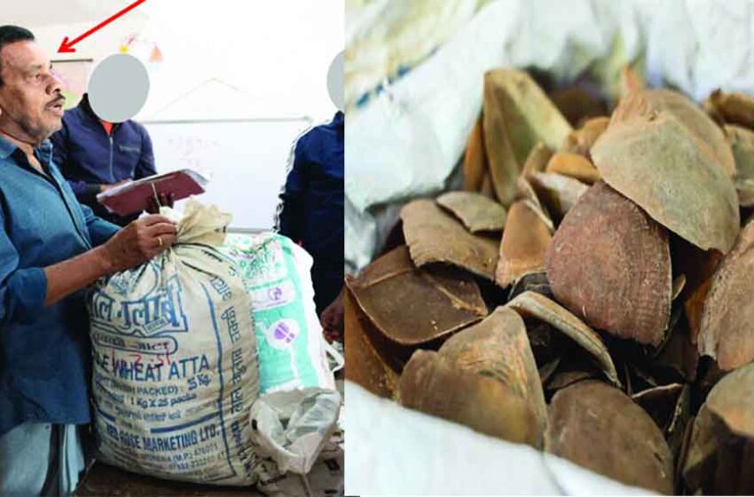  छत्तीसगढ़-जगदलपुर में तीन पेंगोलिन तस्करों से 43 किलो स्केल्स बरामद