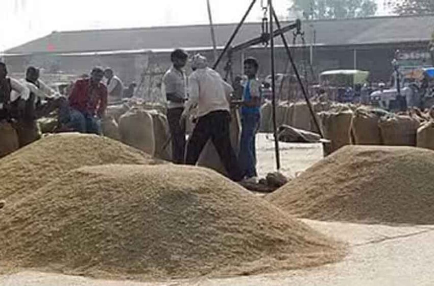  छत्तीसगढ़-साढ़े 25 लाख किसानों से 149 लाख मीट्रिक टन धान की खरीदी