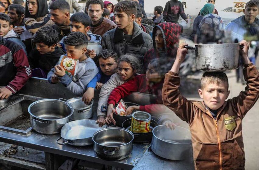  गाजा में हालात इतने खराब हो गए हैं कि इजरायली हमलों से ज्यादा लोग भुखमरी से मरने लगे