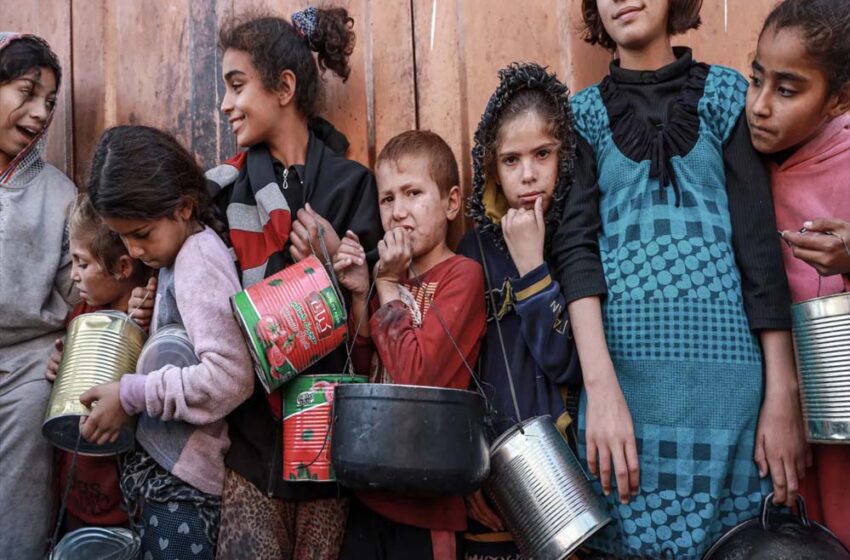  इजरायल की बड़ी घोषणा: गाजा के तीन इलाकों में युद्धविराम, भुखमरी के बीच बड़ा फैसला