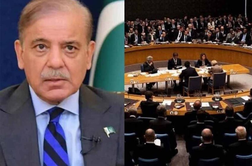  भारत-पाक तनाव के बीच पाकिस्तान को मिला UNSC की अध्यक्षता का जिम्मा, क्या होंगे इसके मायने?