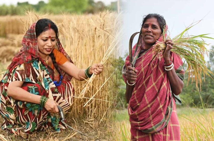  सरकार का फैसला: खरीदी केंद्रों की जगह अब गोडाउन को मिलेगी प्राथमिकता, अनाज खरीद होगी आसान