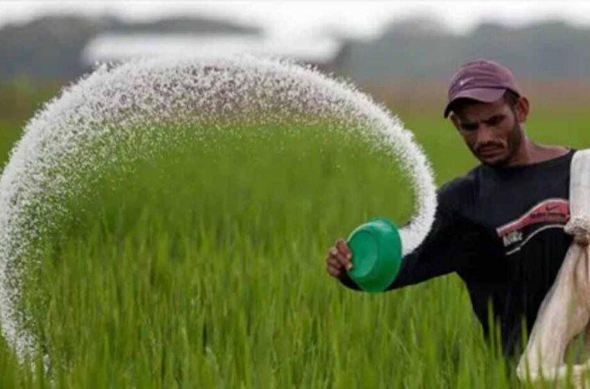  CM ने किया बड़ा ऐलान: एमपी में किसानों को जल्द मिलेगा 5.60 लाख टन यूरिया