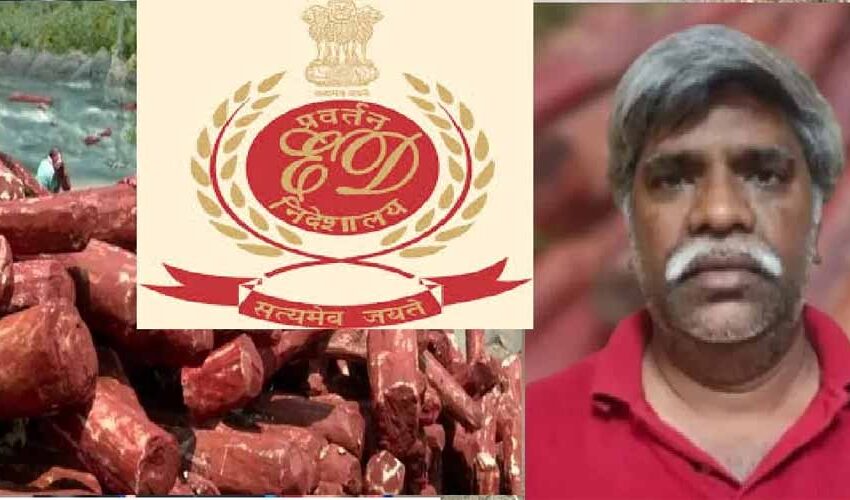  अंतरराष्ट्रीय लाल चंदन तस्करी में ED का सख्त एक्शन, अब्दुल जाफर फंसा