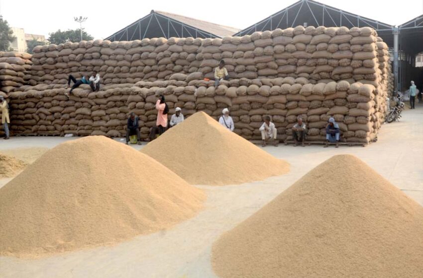  पश्चिमी यूपी में 1 अक्टूबर से शुरू होगी धान खरीद, 23,500 से ज्यादा किसानों ने किया रजिस्ट्रेशन