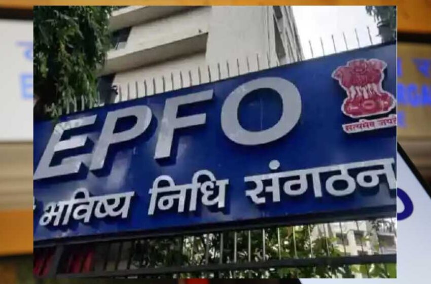  PF खाताधारकों के लिए खुशखबरी, EPFO ने लॉन्च किया फटाफट डिटेल्स वाला नया फीचर
