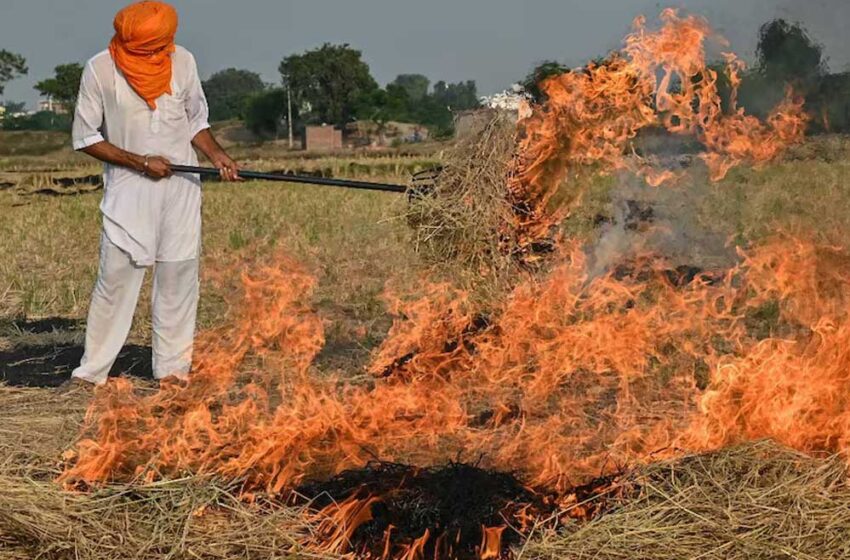  पराली मुद्दे पर सख्त CJI गवई, बोले – किसानों को जेल भेजने से सुधरेगी स्थिति