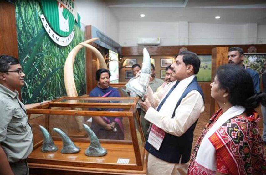  मुख्यमंत्री डॉ. यादव ने किया आसाम के वन्य जीव कन्वेंशन सेंटर का भ्रमण
