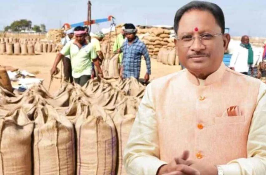  धान किसानों के लिए बड़ी खबर: 15 नवंबर से खरीदी अभियान की शुरुआत