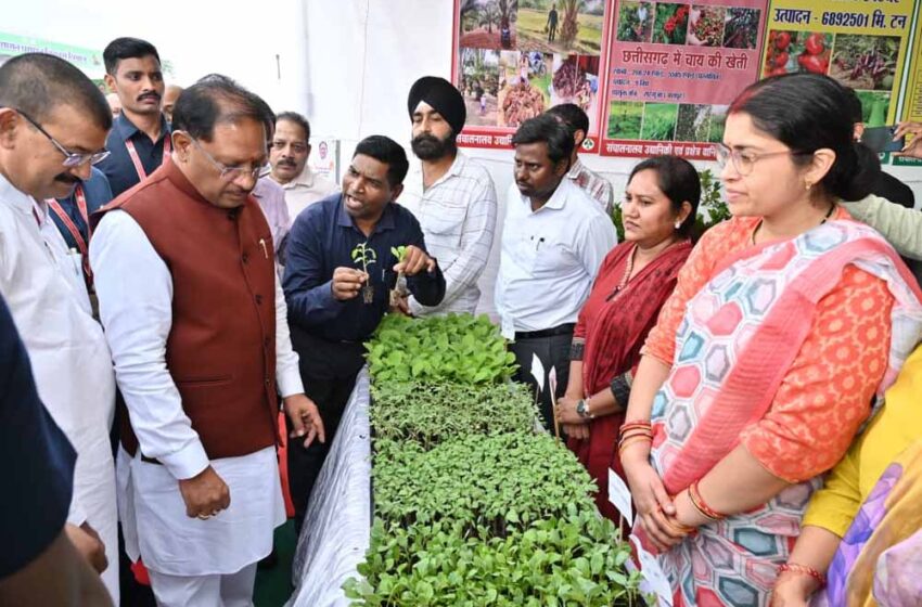  मिशन के तहत छत्तीसगढ़ के जशपुर, कोरबा और दंतेवाड़ा जिला के चयन पर मुख्यमंत्री ने प्रधानमंत्री का माना आभार