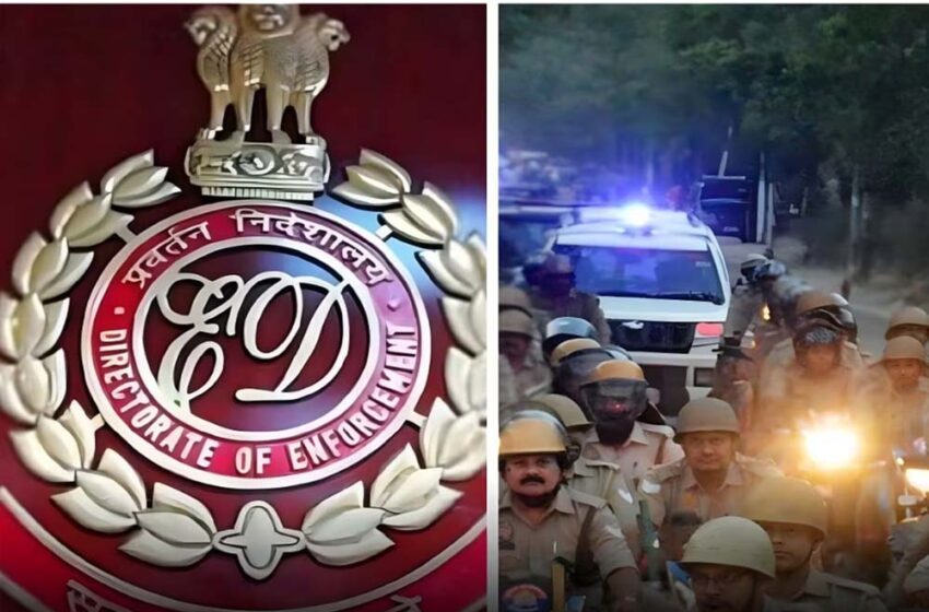  कफ सिरप कांड में ED का बड़ा एक्शन, श्रीसन फार्मा के कई ठिकानों पर एक साथ रेड