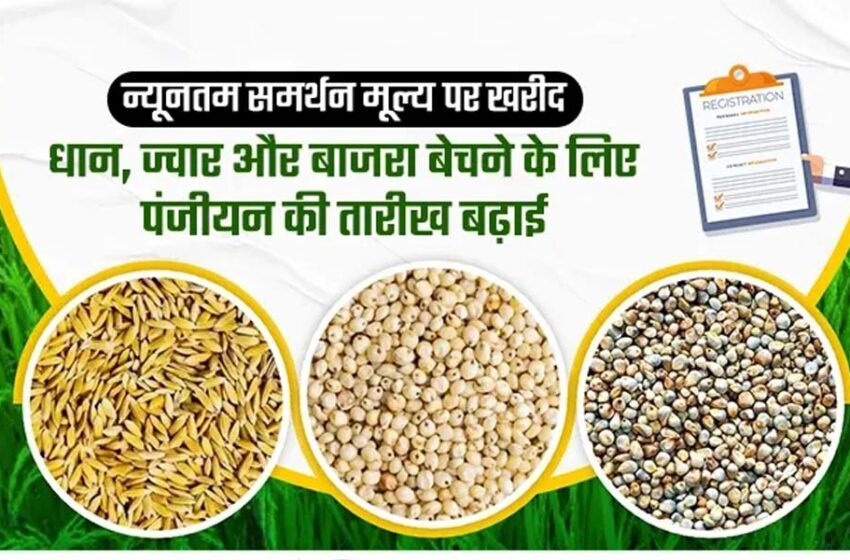  10 अक्टूबर अंतिम तारीख: समर्थन मूल्य पर उपार्जन हेतु कराएं धान, ज्वार व बाजरा का पंजीयन