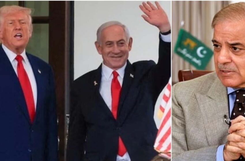  ट्रंप के गाजा प्लान पर समर्थन से घिरा पाकिस्तान, सोशल मीडिया पर भड़के लोग – ‘शहबाज ने सरेंडर कर दिया