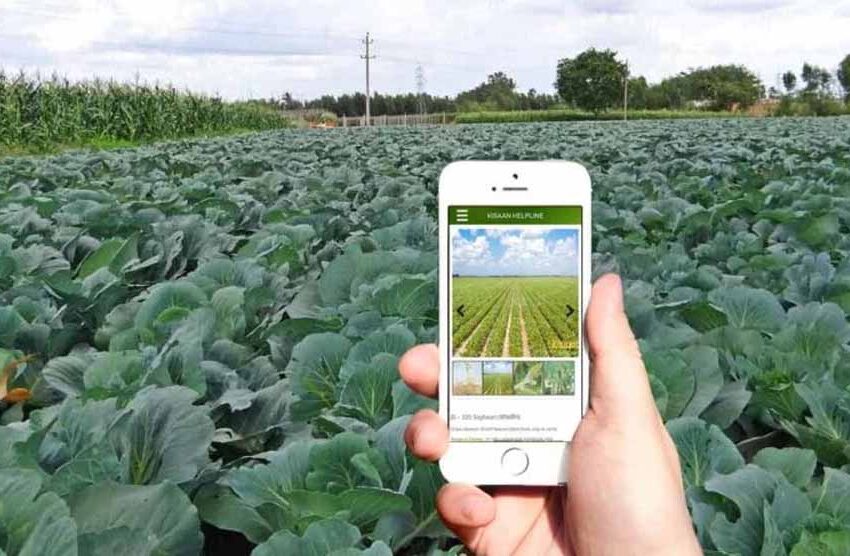  छत्तीसगढ़ सरकार का बड़ा फैसला: फसल सर्वे और गिरदावरी सत्यापन की डेडलाइन में बढ़ोतरी