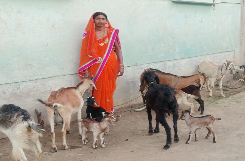  रायपुर : महतारी वंदन योजना ने बदली श्यामा की ज़िंदगी, बनी आत्मनिर्भरता की मिसाल