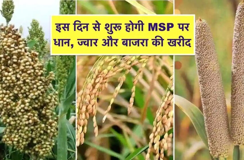  समर्थन मूल्य पर धान, ज्वार, बाजरा उपार्जन के लिए 8.53 लाख किसानों ने किया पंजीयन