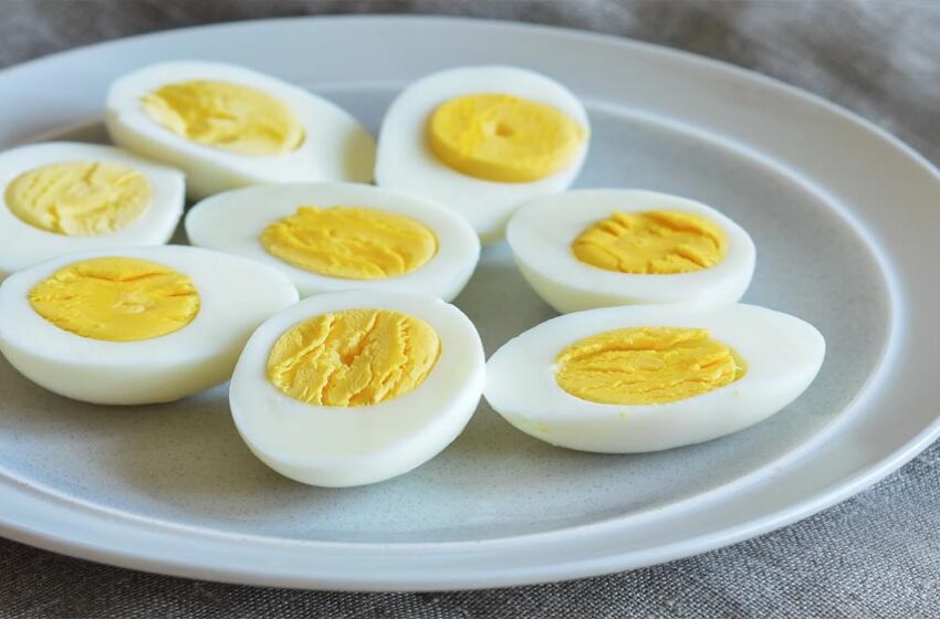  महिला एवं बाल विकास विभाग ने बच्चों के पोषण पर जारी की गाइडलाइन, छह महीने के बाद मांसाहारी परिवारों के लिए खास सलाह