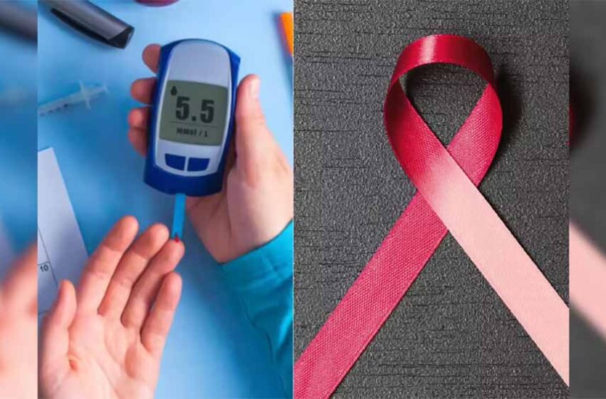  स्टडी में दावा: शुगर के मरीजों की बॉडी में कैंसर सेल्स को मिलती है अतिरिक्त ऊर्जा