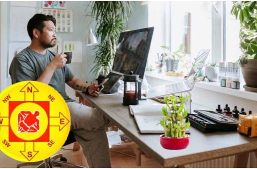  करियर ग्रोथ क्यों थम जाती है? जानें कौन से डेस्क प्लांट्स रोकते हैं तरक्की