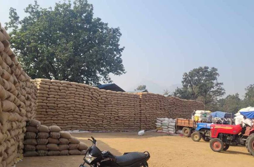  धान खरीदी पर ब्रेक के हालात, बफर से ज्यादा स्टॉक, मिलर नहीं उठा रहे धान