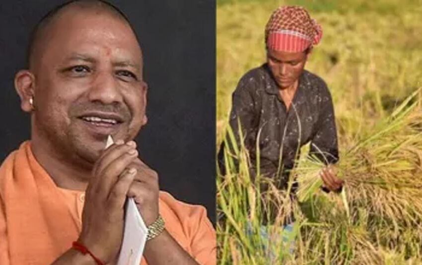  धान किसानों को 4500 करोड़ से अधिक का भुगतान