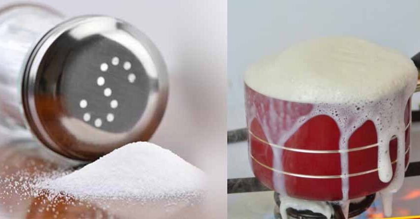  अगर रसोई में बार-बार गिर रहा है नमक या दूध, तो अनदेखा न करें! जानिए दोष निवारण के आसान उपाय