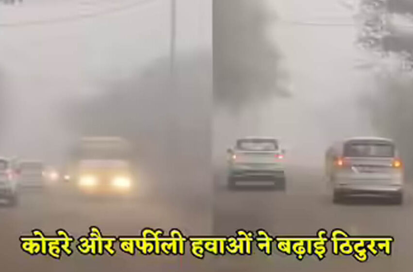  इंदौर में न्यूनतम 8°C, भोपाल 9.8°C, MP में घना कोहरा और पचमढ़ी में पारा 4°C से नीचे