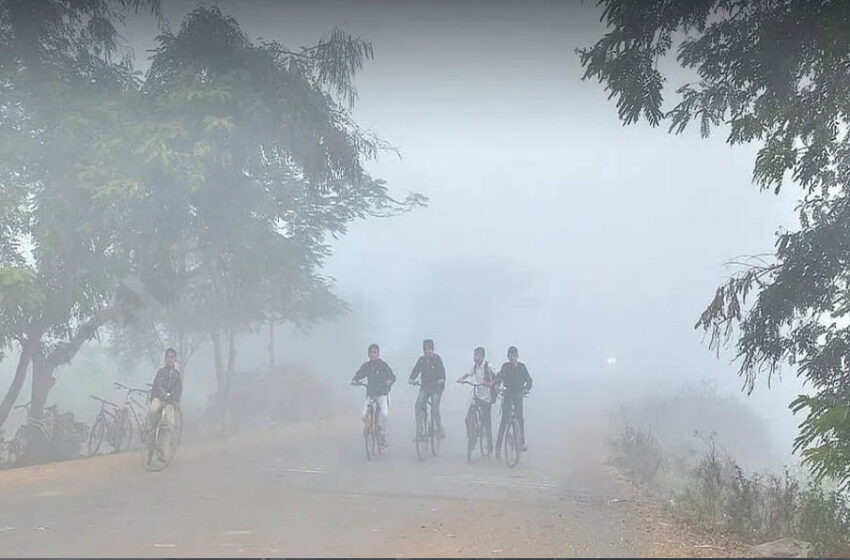  मध्य प्रदेश में कड़ाके की ठंड, पचमढ़ी में पारा 4.2°C, 25 शहरों में 10°C से नीचे; कई जिलों में घना कोहरा