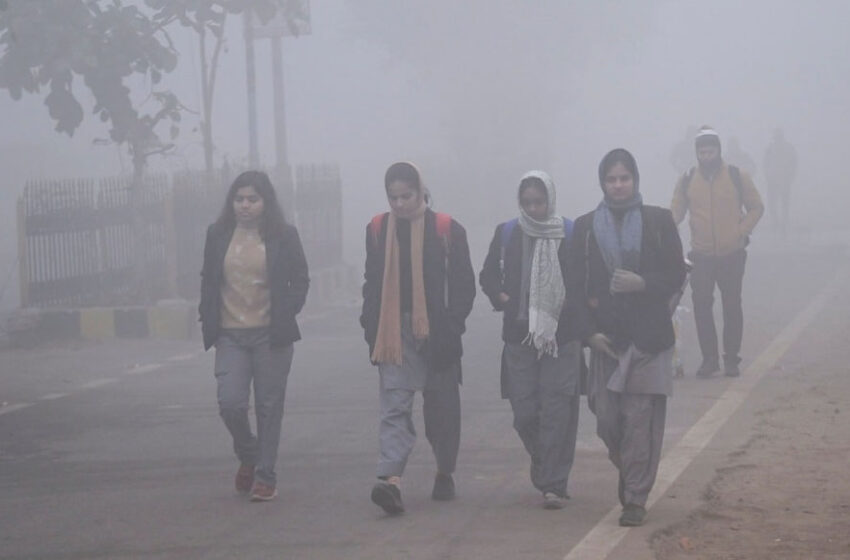  एमपी में शीतलहर का कहर: दतिया सबसे ठंडा, चार दिन तक कोहरा और तापमान में गिरावट