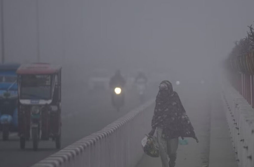  मध्यप्रदेश में ठंड का कहर, पारा 4.6 डिग्री तक गिरा, कोल्ड वेव और कोहरे का असर: 20 बाद मावठा गिरने की संभावना