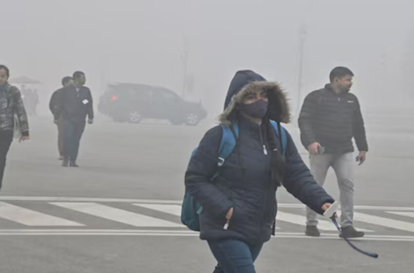  MP में शिमला-मनाली से भी सर्दी, मंदसौर में 2.5 डिग्री तापमान, 9 जिलों में शीतलहर का खतरा