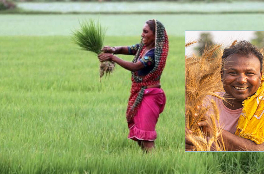  किसानों की मेहनत से भारत ने बनाई नई ऊंचाई, चीन भी रह गया पीछे, जानें क्यों है यह बड़ी खबर