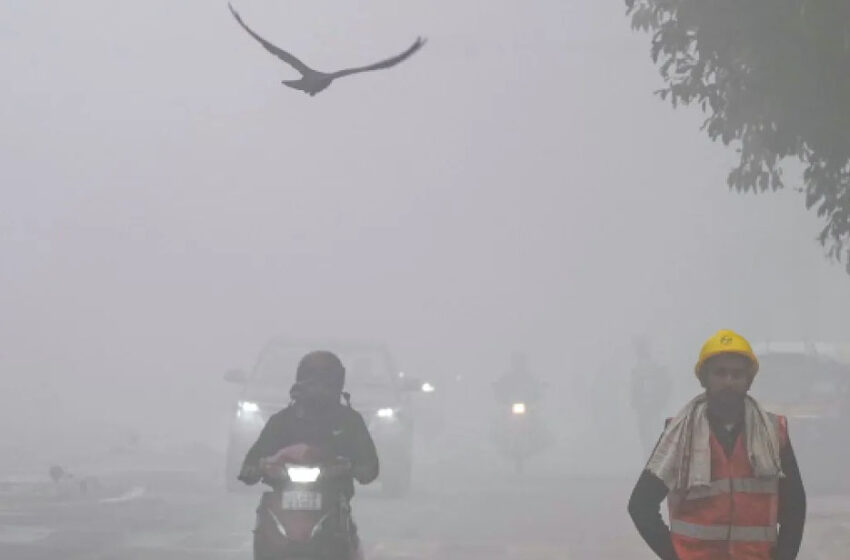  मौसम विभाग का अलर्ट: 23-24 जनवरी को 10 जिलों में बारिश और घना कोहरा, बादल आज से होंगे छाए