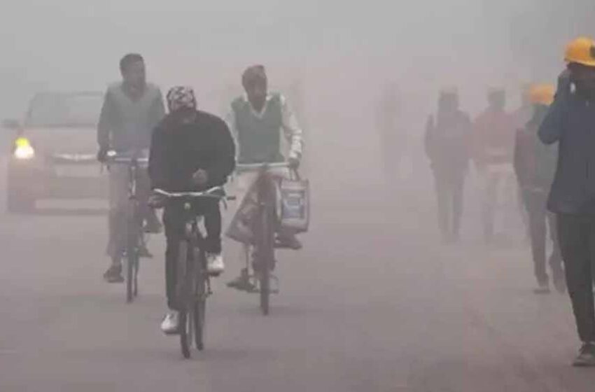  मध्य प्रदेश में सर्दी का कहर: 19 शहरों का पारा 10°C से नीचे, राजगढ़ में सबसे कम तापमान