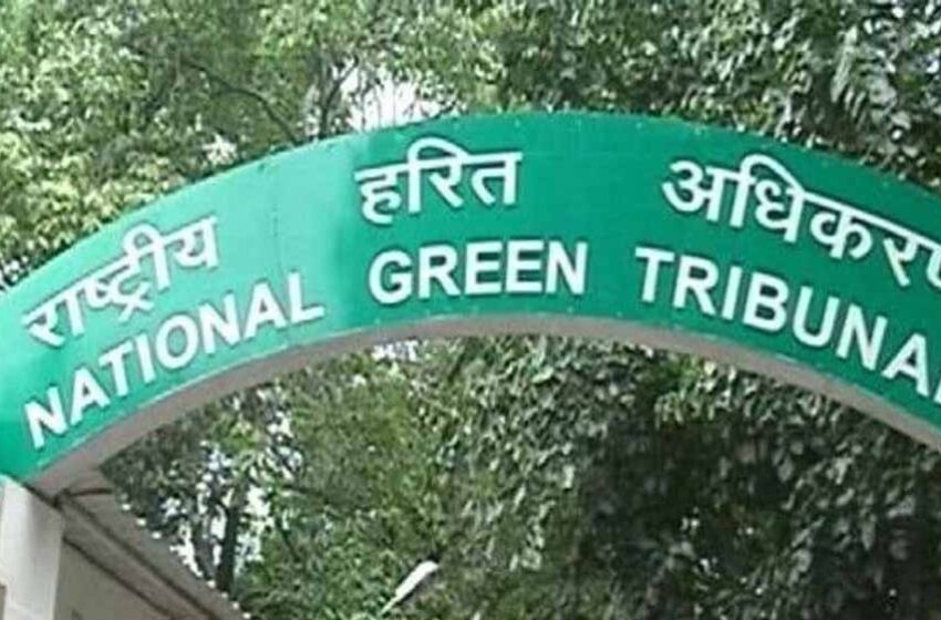  एनजीटी सख्त: भोपाल के वेटलैंड पर अवैध कब्जे पर कार्रवाई न होने पर प्रशासन को चेतावनी