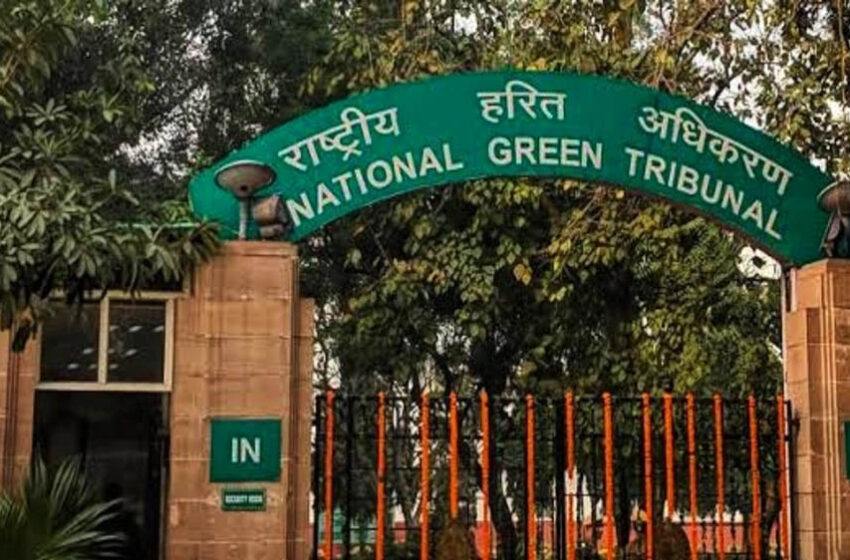 एमपी में बढ़ते प्रदूषण पर NGT की चिंता, सरकार से 8 शहरों पर 8 हफ्तों में रिपोर्ट की मांग