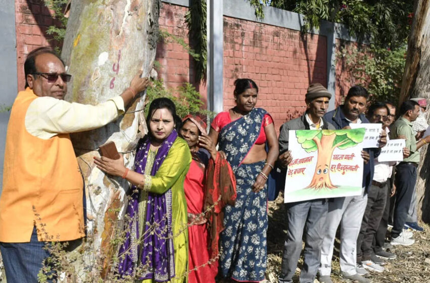  अयोध्या बायपास के लिए 8 हजार पेड़ों की कटाई पर NGT की रोक, भोपाल की सांसे अब नहीं थमेंगी