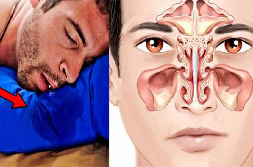  गहरी नींद में सोते समय मुंह से लार बहने पर रहें अलर्ट?