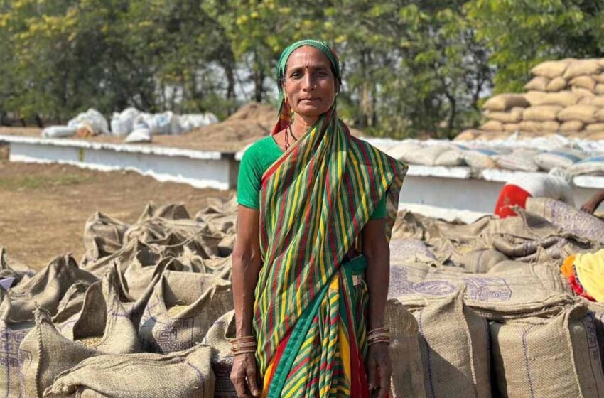  सरकारी व्यवस्था का असर: धान खरीदी ने बदली महिला किसान चौती बाई की ज़िंदगी